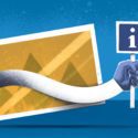 Bildrechte für Website und Social Media: 10 Fragen und 10 Antworten